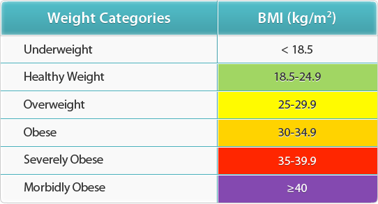 Are you Overweight or Obese? Try our BMI Calculator Chart